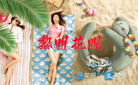 九牛一毛花呗